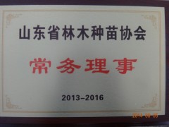 本公司总经理2011年度被评为“全国十大苗木经纪人”，先后被菏泽市林业局推选为菏泽市苗木协会副会长，2012年被评为菏泽市十强苗圃、菏泽市十大苗木经纪人，2013年成为山东省林木种苗协会的理事成员等等。我公司自创办以来，始终恪守诚信服务的理念，坚持“以诚取信，以信立誉”的原则，把诚信经营作为立业之道，兴业之本。