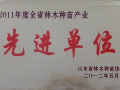 本公司总经理2011年度被评为“全国十大苗木经纪人”，先后被菏泽市林业局推选为菏泽市苗木协会副会长，2012年被评为菏泽市十强苗圃、菏泽市十大苗木经纪人，2013年成为山东省林木种苗协会的理事成员等等。我公司自创办以来，始终恪守诚信服务的理念，坚持“以诚取信，以信立誉”的原则，把诚信经营作为立业之道，兴业之本。