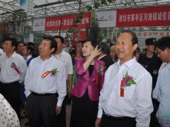 昌邑市市委书记：马跃启. 市长：吕珊珊同志陪同领导参观考察北美海棠