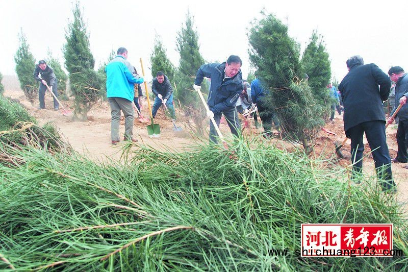 石家庄：绿化升级之后将变花香文艺范儿