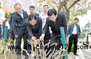 25日，省委常委、市委书记程连元率队调研城市园林绿化建设工作。 记者王俊星摄