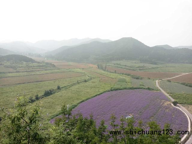 北京首条花卉特色旅游线路正式发布