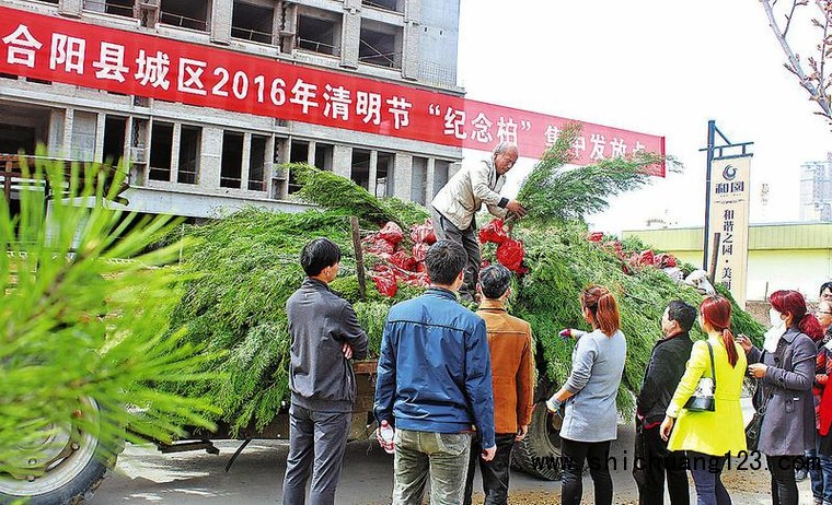 走好生态路打造“绿富美” ——合阳县2016年造林绿化工作综述