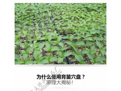 穴盘/育苗器/营养钵/美植袋/植树袋/双色盆/育苗盘/遮阳网/除草布/控根器图2