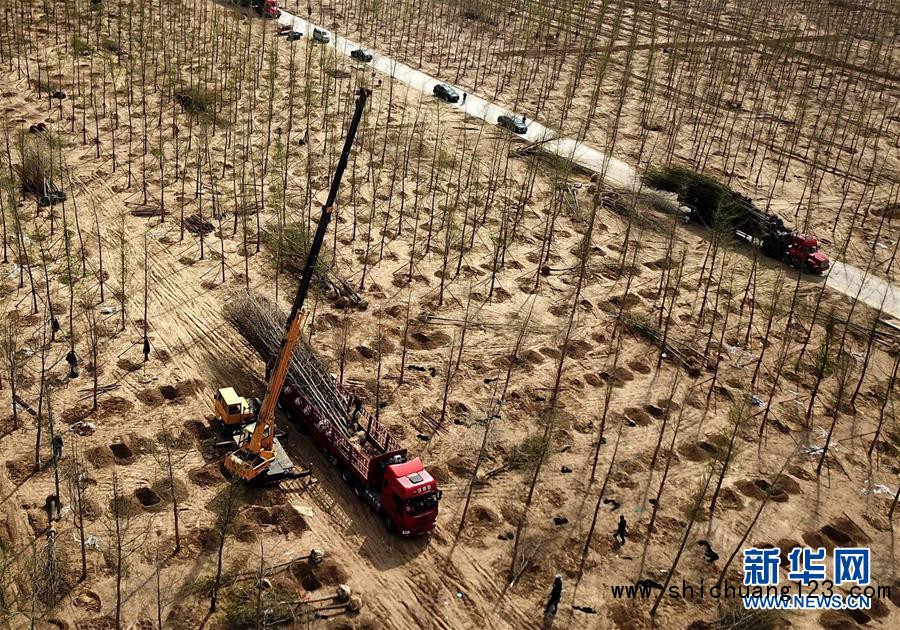 （环境）（3）河北廊坊：造林百万亩建立京津冀生态屏障