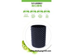 控根容器_植树专用控根器多规格快速种植育苗控根容器图1