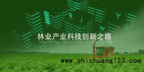 林业产业创新之路，杂交构树产业技术研发与产业化体系建设