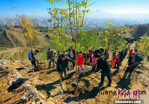 大规模国土绿化行动：2020年森林覆盖率须超23%