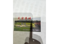 供应固坡草坪，优异草坪，辽宁草坪图2