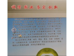 菏泽焕美园林供应多种规格白蜡、速生白蜡、老白蜡树图1