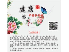 供应各种牡丹花苗 牡丹苗 牡丹种苗 各色牡丹苗 牡丹鲜切花图1