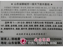 供应1-30公分雄性无飞絮毛白杨苗，聊城毛白杨供应基地图1