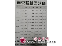 江苏南京松林园艺场供应雪松0.3-10米 南京雪松基地图1