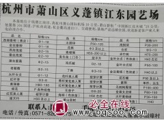 供应1-18公分西湖垂柳(青皮)、金丝垂柳，杭州江东园艺图1