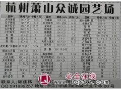 供应大小叶黄杨40*20公分现货大量 萧山众诚园艺 黄杨苗图1