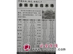 余姚华丰花木场专供各种规格红枫、樱花、杨梅树及小苗图1