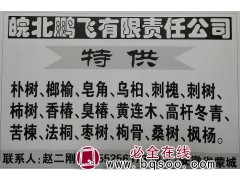 特供各种规格朴树精品树 皖北鹏飞苗木供应朴树 安徽朴树基地图1