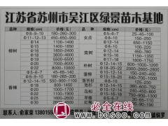 供应8-22公分榉树精品树，苏州榉树基地 榉树价格表图1