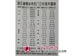 浙江水杉苗，精品水杉树价格 桐乡花木之乡 桐乡苗木基地图1