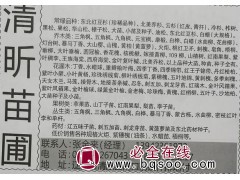 供应东北红皮云杉、青扦红皮云杉小苗 东北苗木网 苗木基地图1