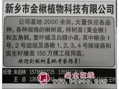 各种规格的楸树苗，梓树苗 2000亩基地楸树基地 河南苗木网图1