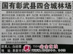 辽宁苗木网 多年生樟子松苗 各种规格樟子松供应 阜新苗木基地图1