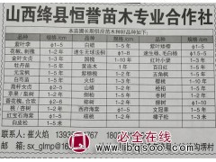 紫叶李φ1-5,山西苗木网 山西恒誉苗木 紫叶李苗现货供应图1