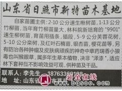 2-10公分速生楸树苗, 日照苗木网 日照新特苗木基地 楸树图1