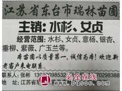 潢川苗木网 建杰花木基地供应桂花树、广玉兰、红玉兰苗木图1