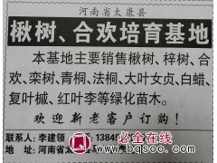 基地专供2-30公分楸树/梓树 太康楸树研究所 专供楸树图1