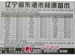 5-12公分光辉海棠，辽宁苗木网 东港林源苗木 海棠树价格图1