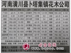 潢川苗木网 供应白玉兰，广玉兰树 卜塔集镇花木公司图1