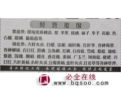 河南苗木网 焦作全有苗木专供大叶女贞苗 大叶女贞树价格表图1