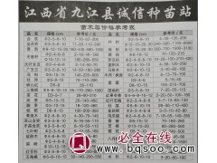 江西苗木网 九江诚信种苗站 3-10公分合欢树 金合欢树供应图1