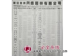 浙江苗木网 浙江兴盛园林供应6-48公分香樟树 精品香樟树图1