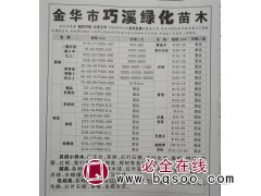 金华苗木网 巧溪苗木 截杆移植2年苗15-30公分香樟树供应图1