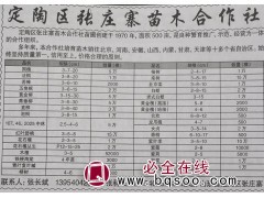 苦楝3-10公分2000棵 聊城苗木网 山东苗木基地图1