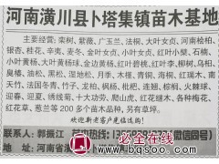 河南苗木网 潢川栾树基地 栾川黄杨基地 专供栾树 黄杨苗木图1