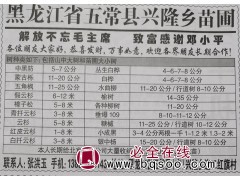 蒙古栎11-20公分现货供应 黑龙江苗木网 兴隆苗圃供蒙古栎图1