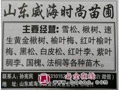 楸树、速生黄金楸树供应 威海苗木网 威海市场苗圃 楸树基地图1