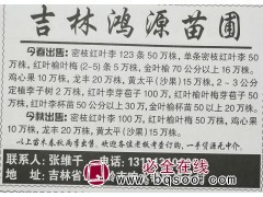 密枝红叶李123条50万株 吉林苗木网 四平鸿源苗圃基地图1