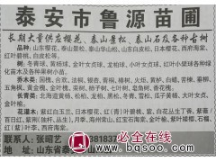 长期大量供应樱花 泰安苗木网 泰安鲁源苗圃专供樱花树图1