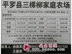 二次发冠白蜡10-40公分2000株 白蜡基地 宁夏白蜡苗图1