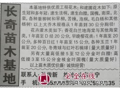 1-30公分白蜡 速生白蜡 济宁苗木网 济宁长奇苗木基地图1