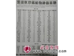 九江苗木网 江西元宝枫基地 九江元宝枫价格表 九江苗木基地图1