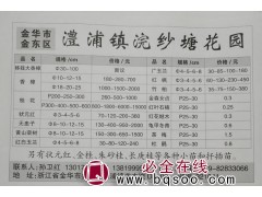 移栽大香樟30-100公分 金华大香樟基地 大香樟基地图1