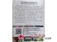 菏泽牡丹苗 油用牡丹批发 牡丹小苗 绿源牡丹芍药合作社图1