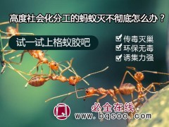 灭白蚁的粉剂 伏敌白蚁灵饵剂 白蚁防治的药 金华苗友苗木图1