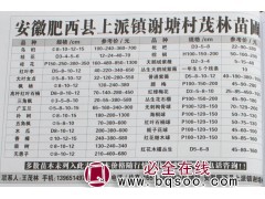 乌桕树 8-15公分乌桕苗价格 安徽苗木 茂林苗圃 乌桕价格图1