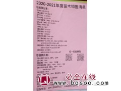 朴树15-20公分 常州栾树价格 蕴桐园林 常州朴树价格图1